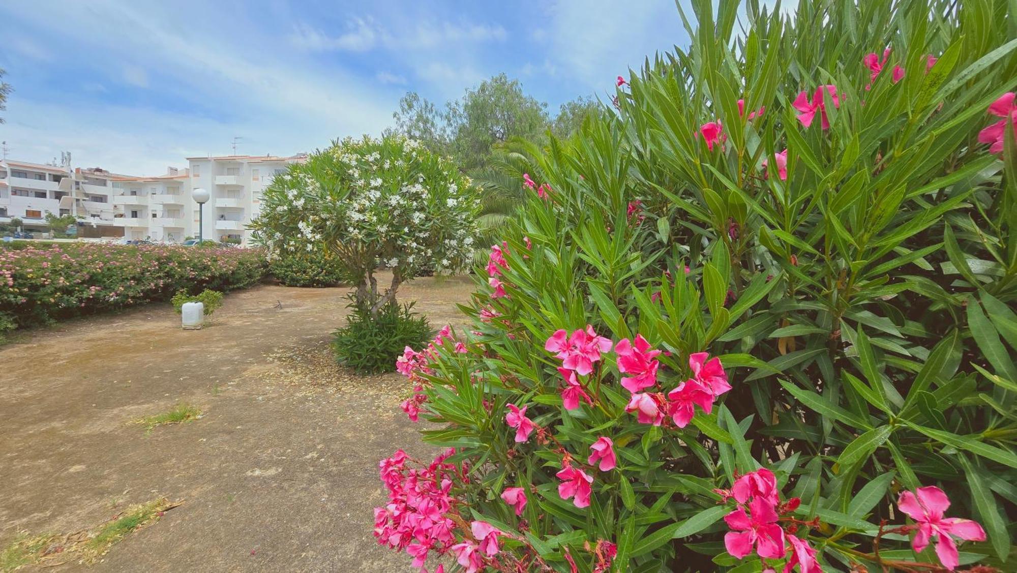 Praia Eulália with pool&5 minutes from the beach Albufeira Exterior foto