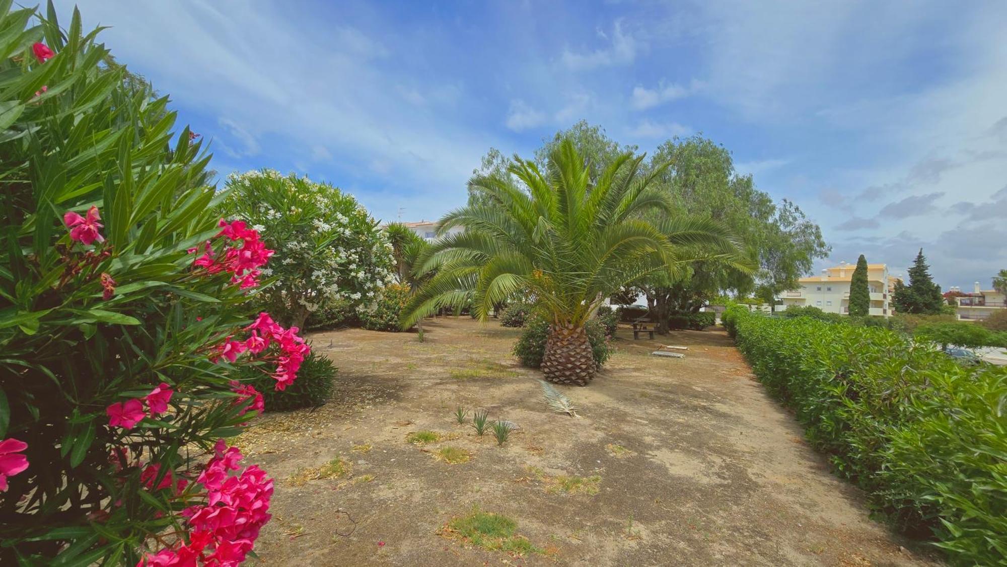 Praia Eulália with pool&5 minutes from the beach Albufeira Exterior foto